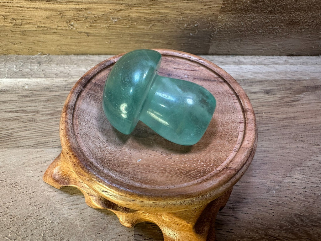 Fluorite Mushroom Carvings – Mini Crystal 25-35 gms Clarity • Focus • Protection
