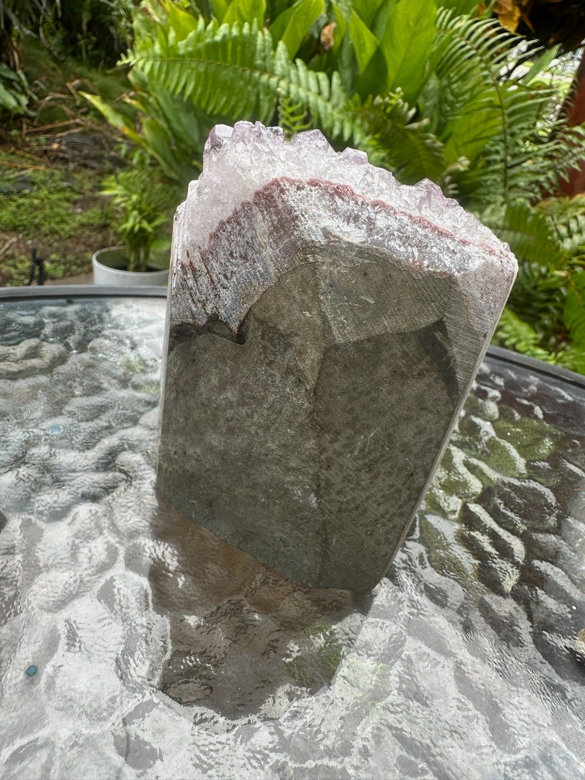 Natural Amethyst Crystal Cluster Druzy Specimen Healing Stone Display