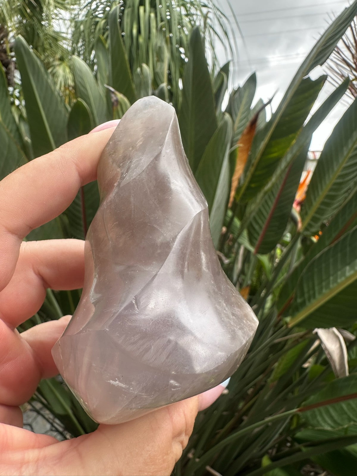 Blue Rose Quartz Flame ~ Crystal Natural Polished Healing Stone Display ~ D