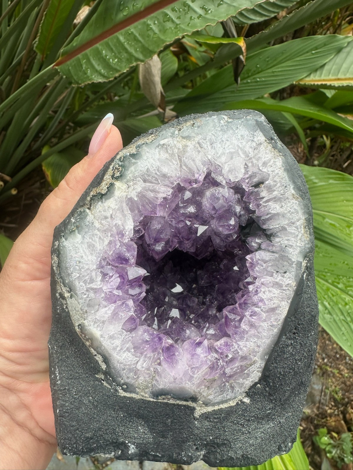 Large Amethyst Geode Crystal Cave ~ Natural Druzy Healing Stone ~ 1.9 kg