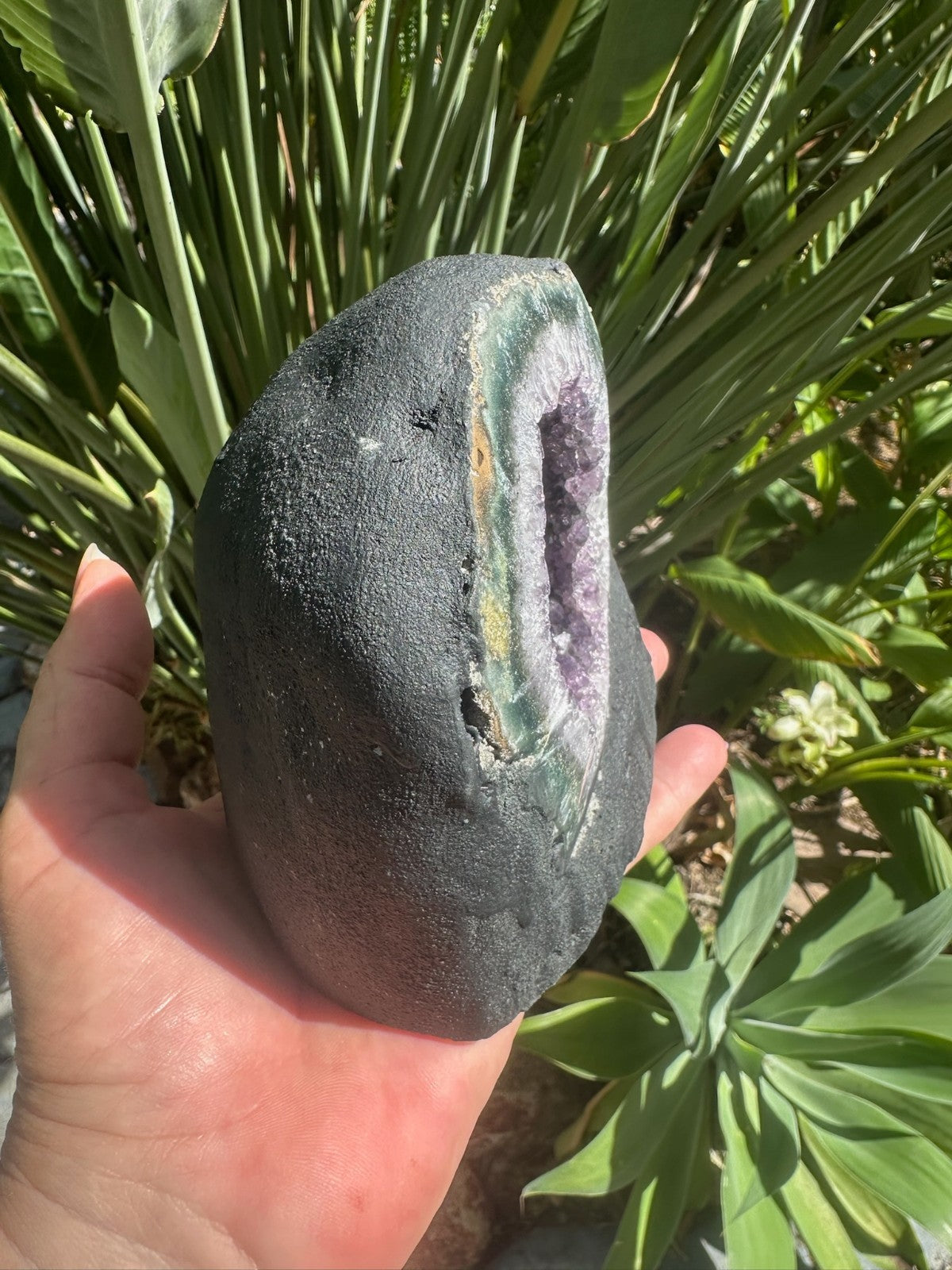 Large Amethyst Geode Crystal Cave ~ Natural Druzy Healing Stone ~ 1.58 kg