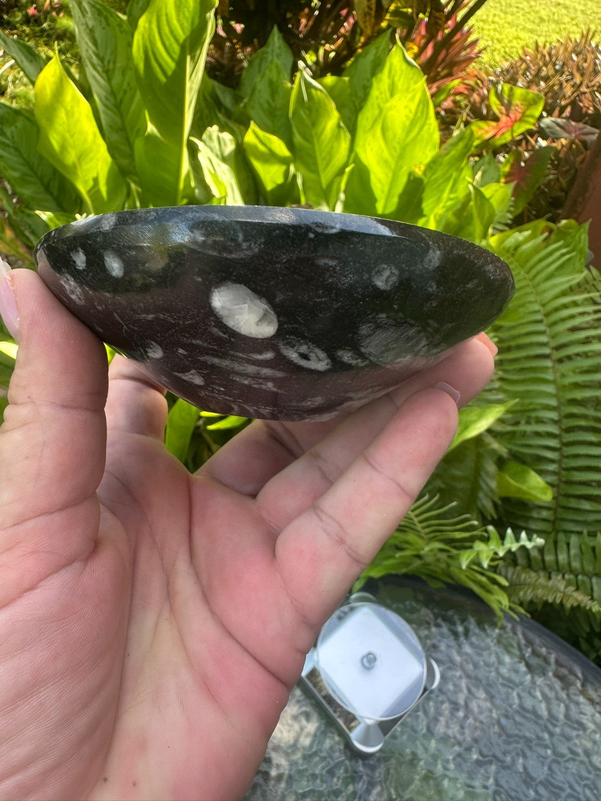 Orthoceras Fossil Stone Bowl ~ Natural Crystal Dish ~ Ancient Fossil Decor (B)