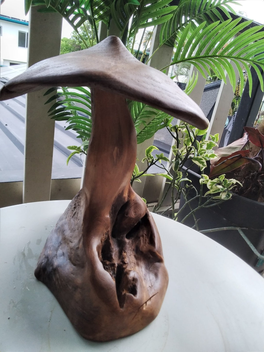 Wood Mushroom Toadstool ~ Garden Sculpture Wooden Hard Carved ~ 20 x 27cm ~ICWS1