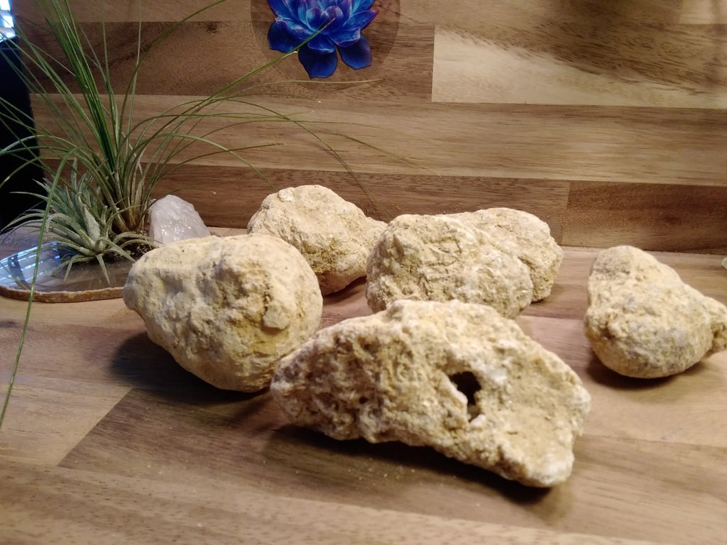 1 x Natural Quartz / Crystal Geode Nodules Break Your Own Geodes ~ Crystal Caves