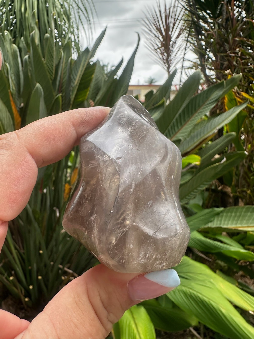 Blue Rose Quartz Flame ~ Crystal Natural Polished Healing Stone Display ~ B