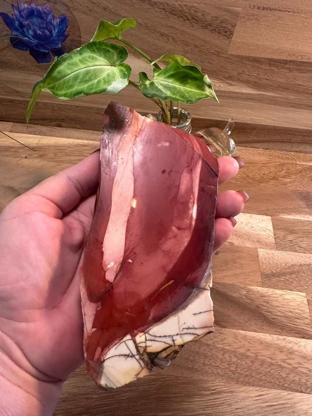 Natural Brecciated Mookaite Jasper Slab ~ Pilbara WA ~ 555 grams ~ 17cm