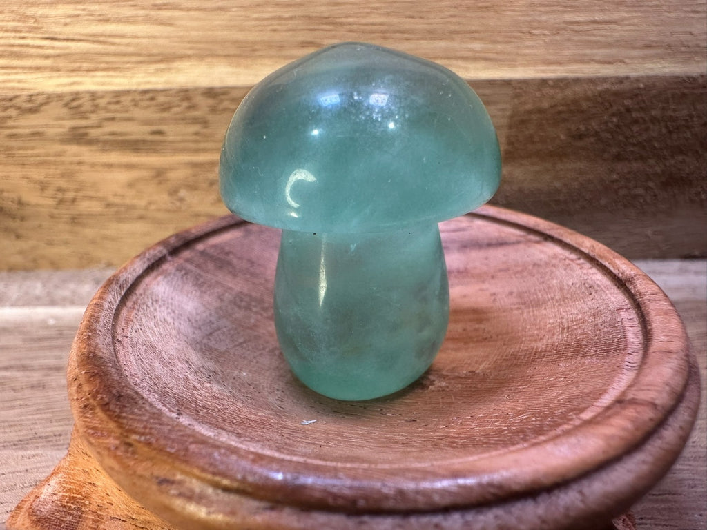 Fluorite Mushroom Carvings – Mini Crystal 25-35 gms Clarity • Focus • Protection