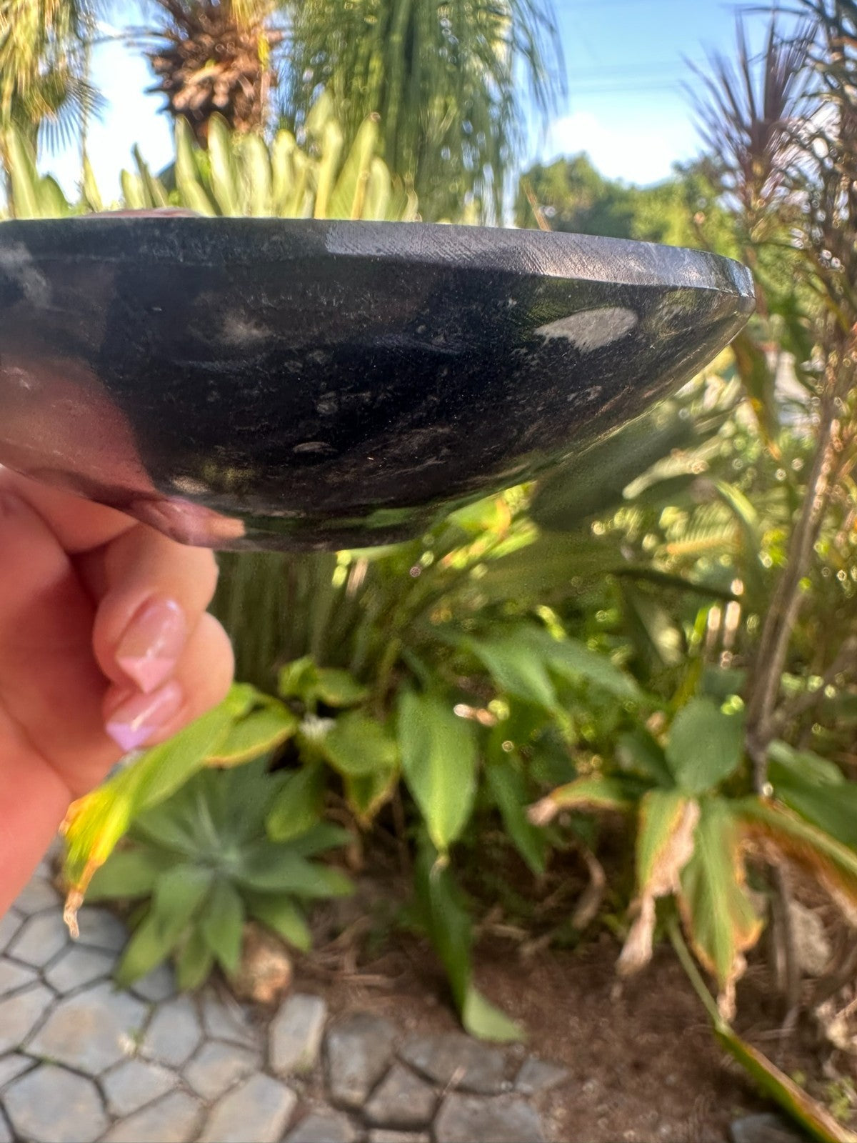 Orthoceras Fossil Stone Bowl ~ Natural Crystal Dish ~ Ancient Fossil Decor (C)