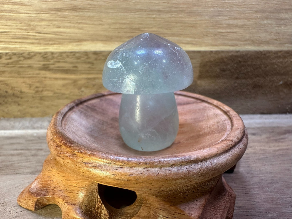 Fluorite Mushroom Carvings – Mini Crystal 25-35 gms Clarity • Focus • Protection