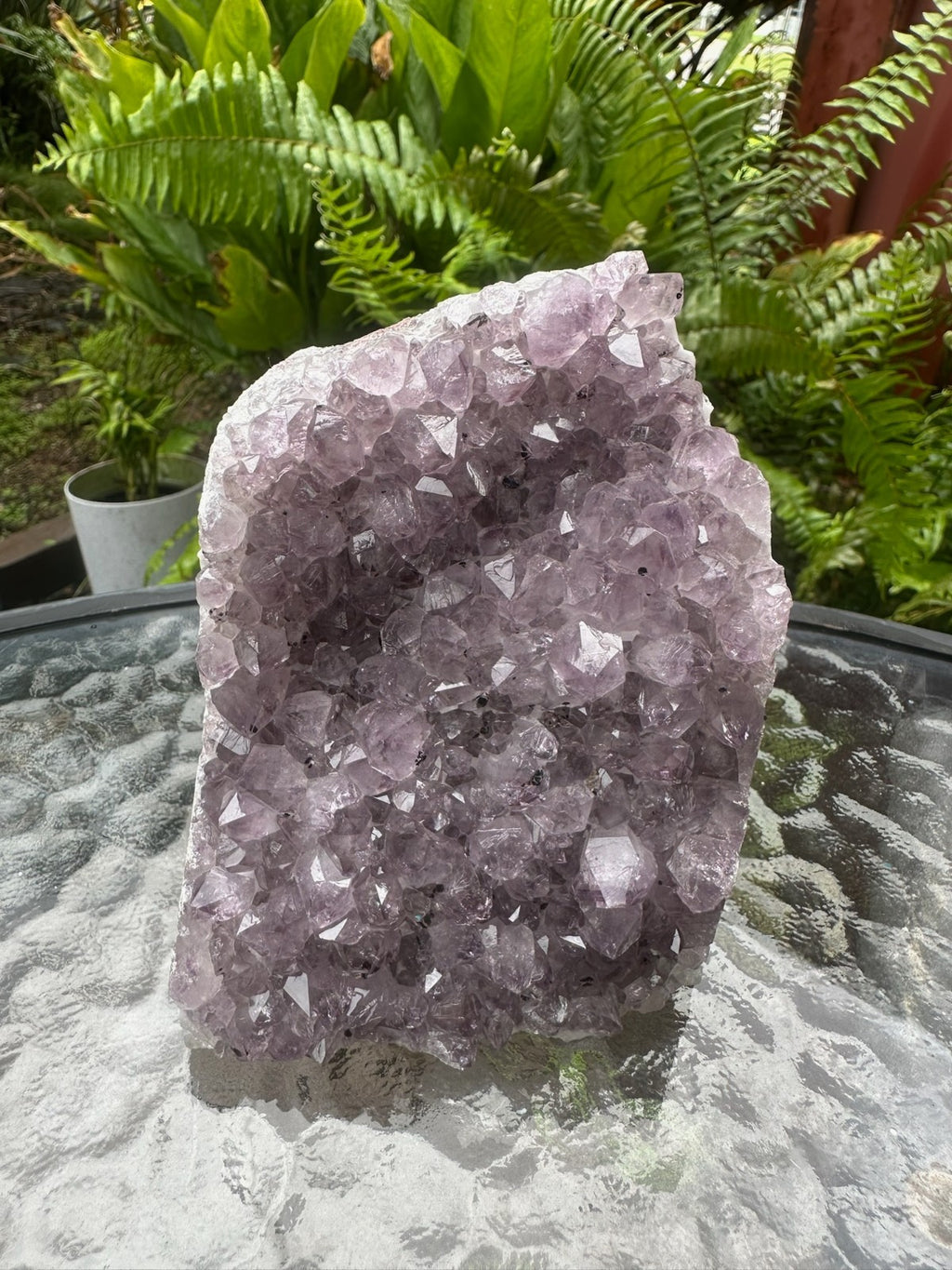 Natural Amethyst Crystal Cluster Druzy Specimen Healing Stone Display