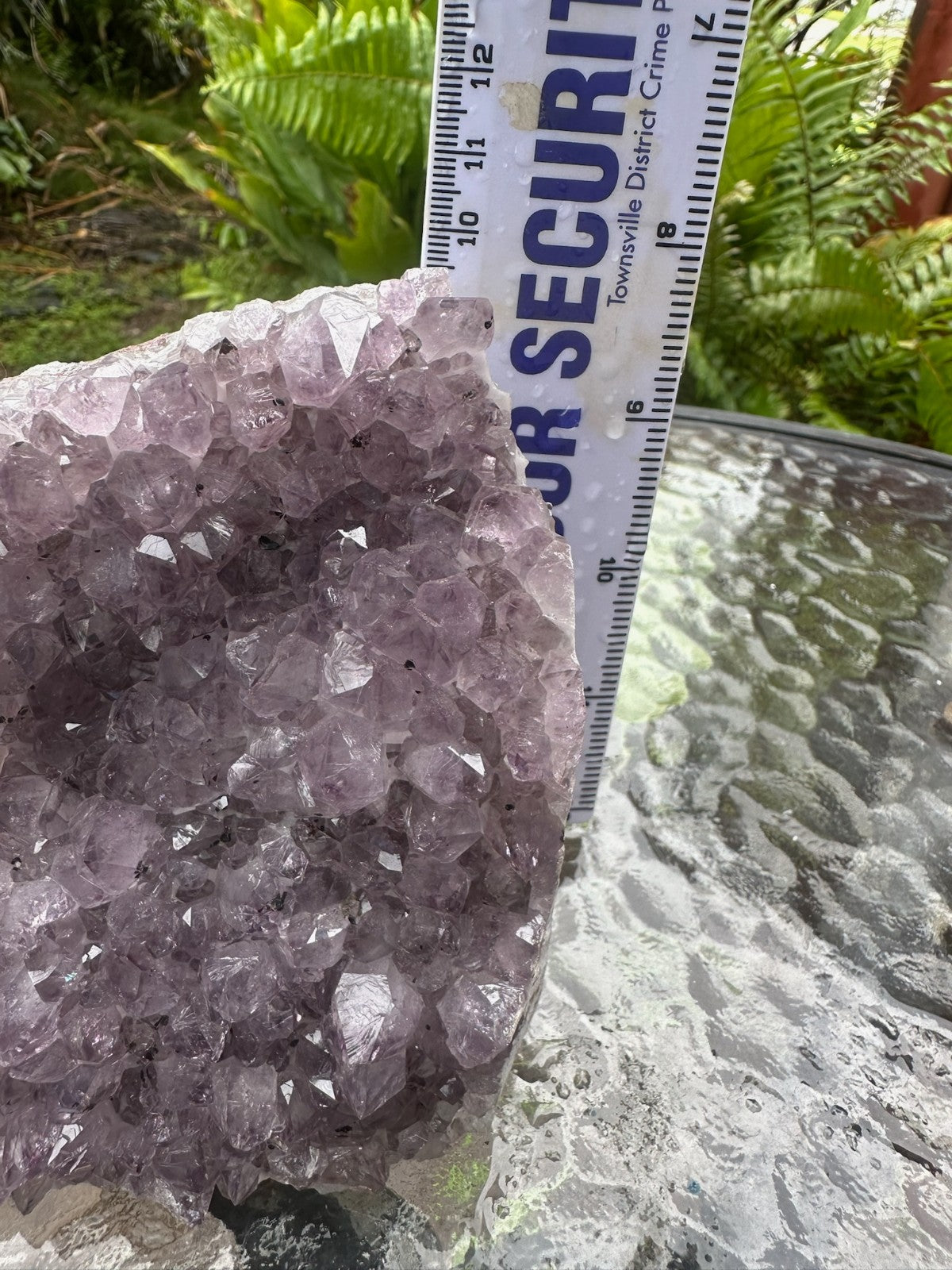 Natural Amethyst Crystal Cluster Druzy Specimen Healing Stone Display