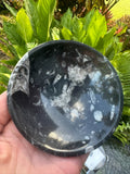 Orthoceras Fossil Stone Bowl ~ Natural Crystal Dish ~ Ancient Fossil Decor (B)