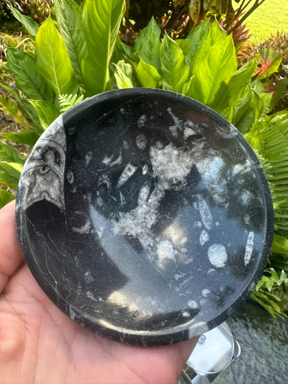 Orthoceras Fossil Stone Bowl ~ Natural Crystal Dish ~ Ancient Fossil Decor (B)