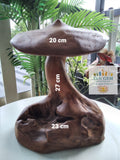 Wood Mushroom Toadstool ~ Garden Sculpture Wooden Hard Carved ~ 20 x 27cm ~ICWS1