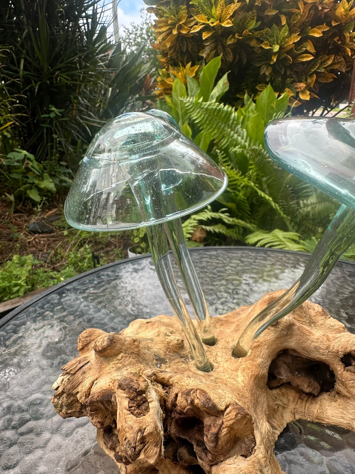 Glass Mushroom Sculpture on Natural Wood – Garden Decor / Rustic Outdoor Art
