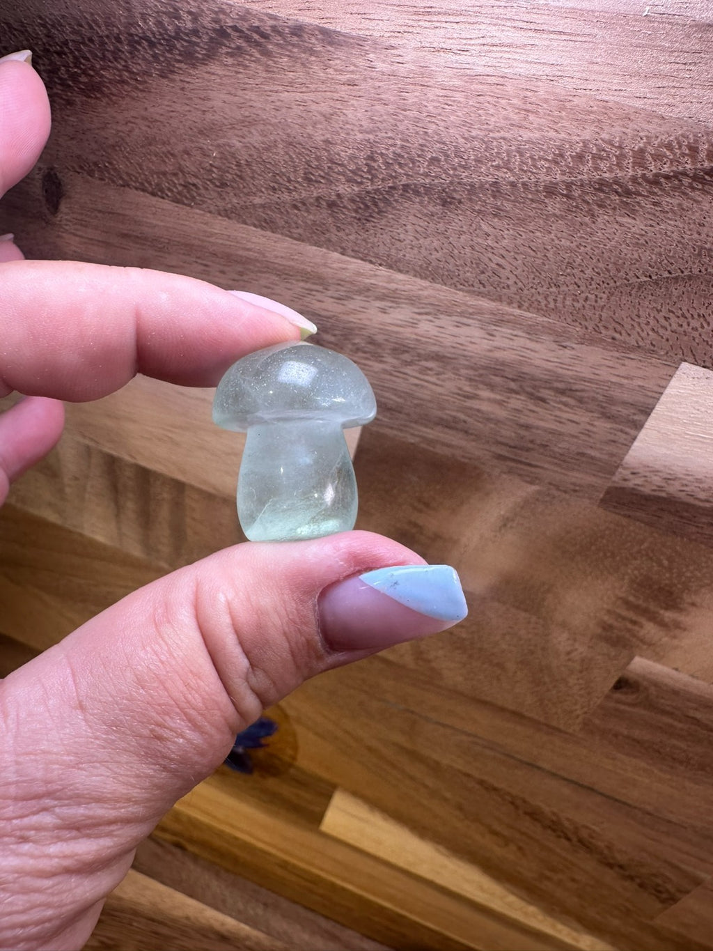 Fluorite Mushroom Carvings – Mini Crystal 25-35 gms Clarity • Focus • Protection