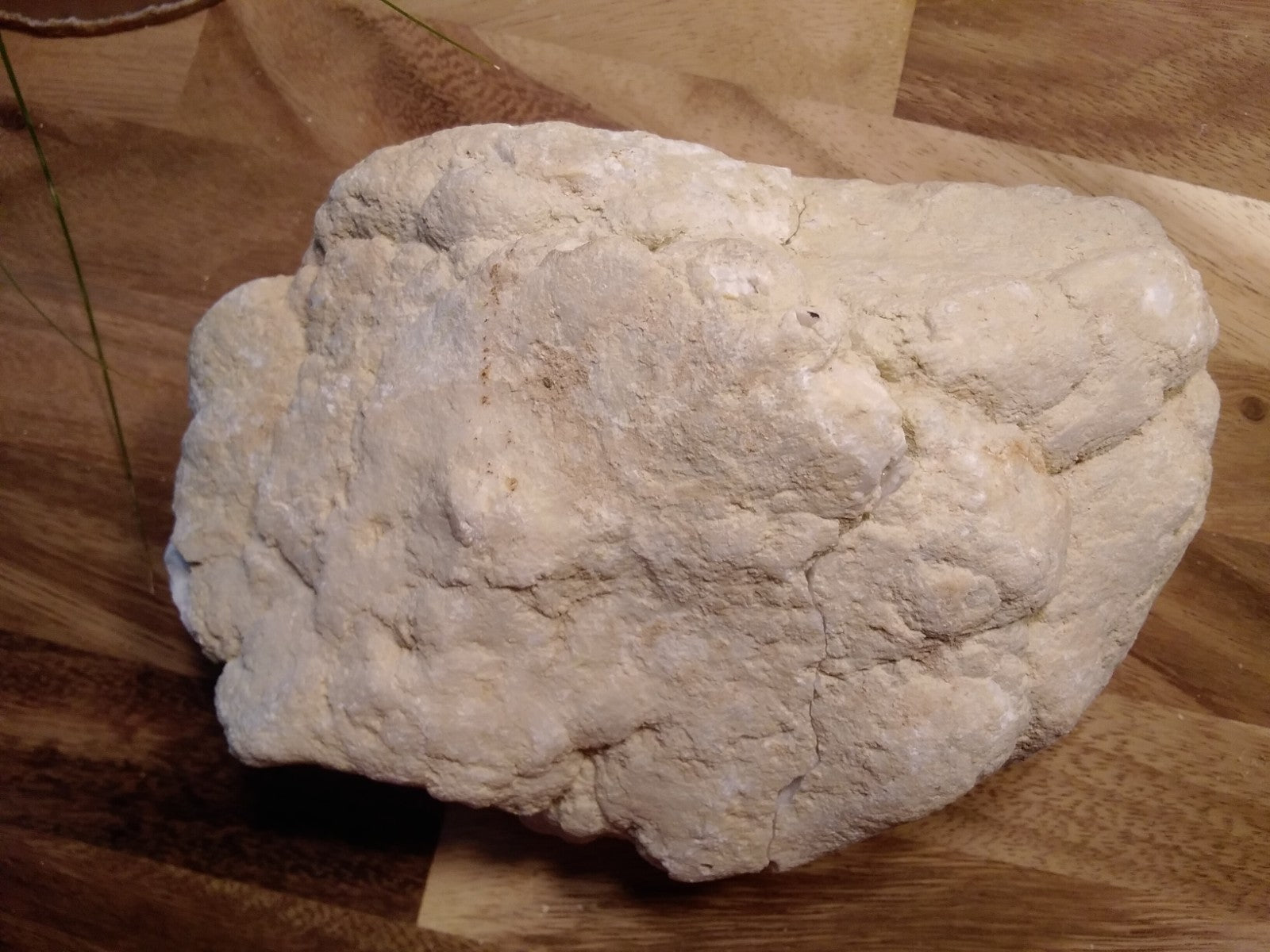 1 Large x Natural Quartz / Crystal Geode Break Your Own Geodes ~ Crystal Caves
