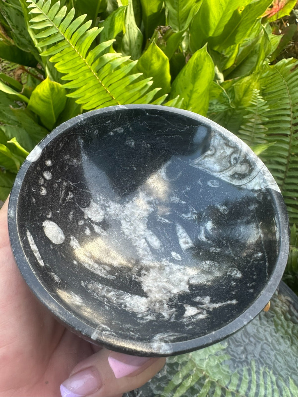 Orthoceras Fossil Stone Bowl ~ Natural Crystal Dish ~ Ancient Fossil Decor (B)