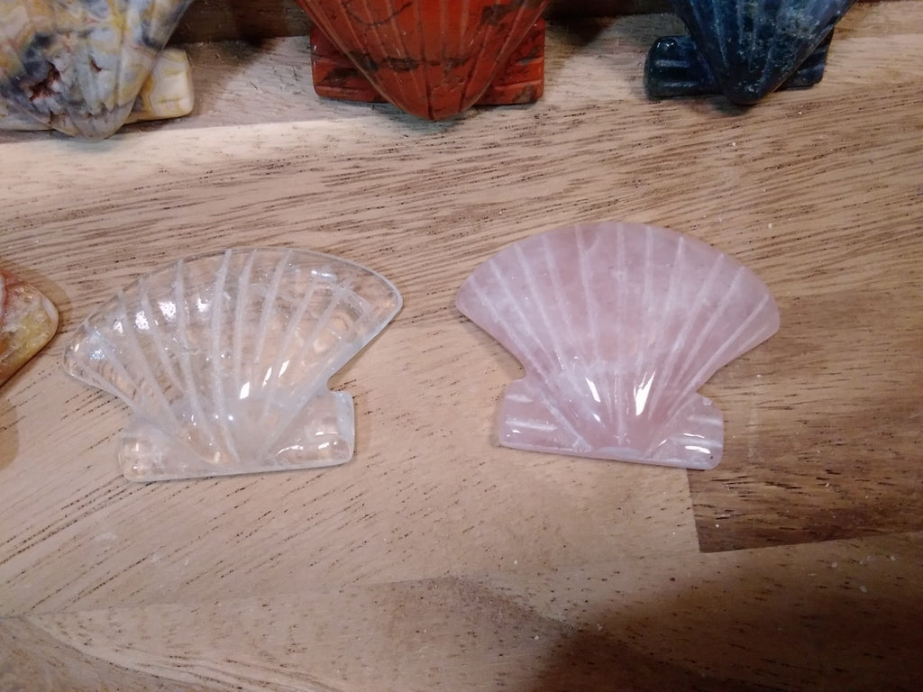 2" Natural Carved Sea Shell ~ Crystal Reiki Healing ~ 1pc ~ Intuitively Chosen