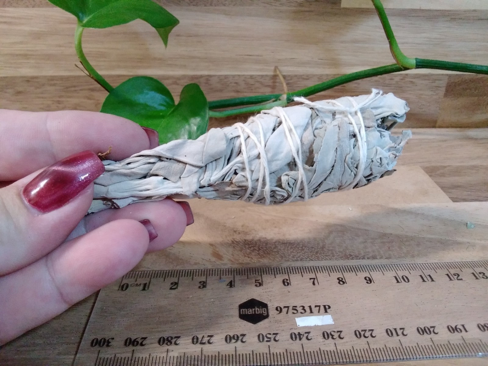 Small California White Sage Smudge Stick ~ Cleansing Bundle Cleansing • Purify