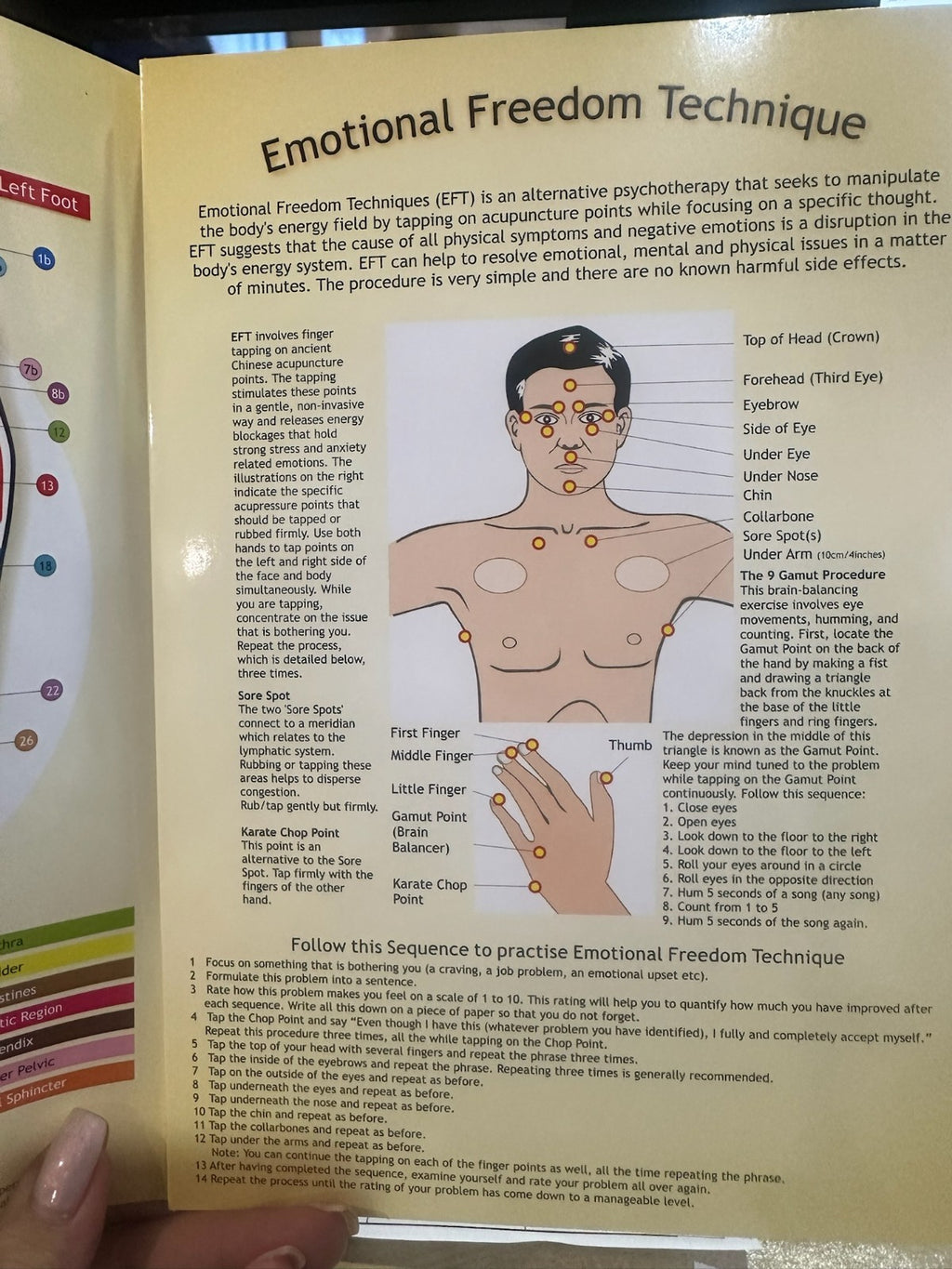 Reflexology Guide Pamphlet – Aracaria Guides Foot Charts • Pressure Points