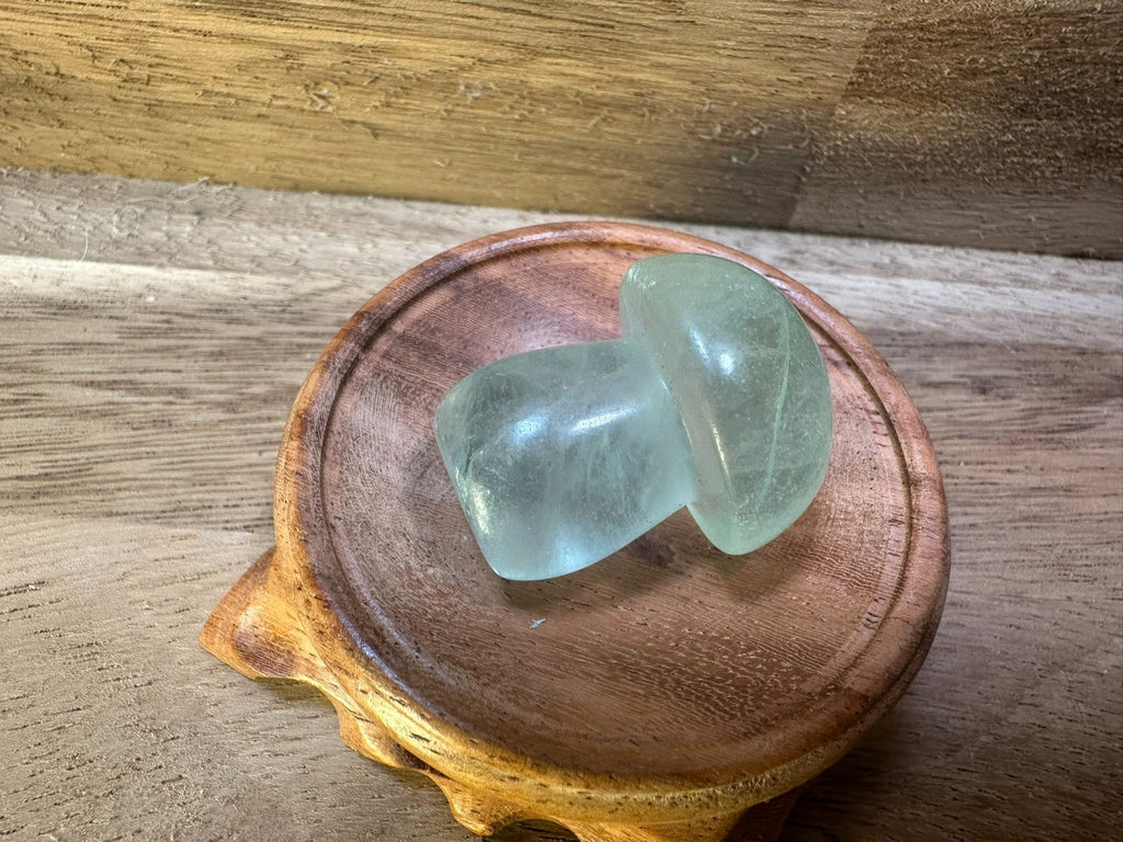 Fluorite Mushroom Carvings – Mini Crystal 25-35 gms Clarity • Focus • Protection