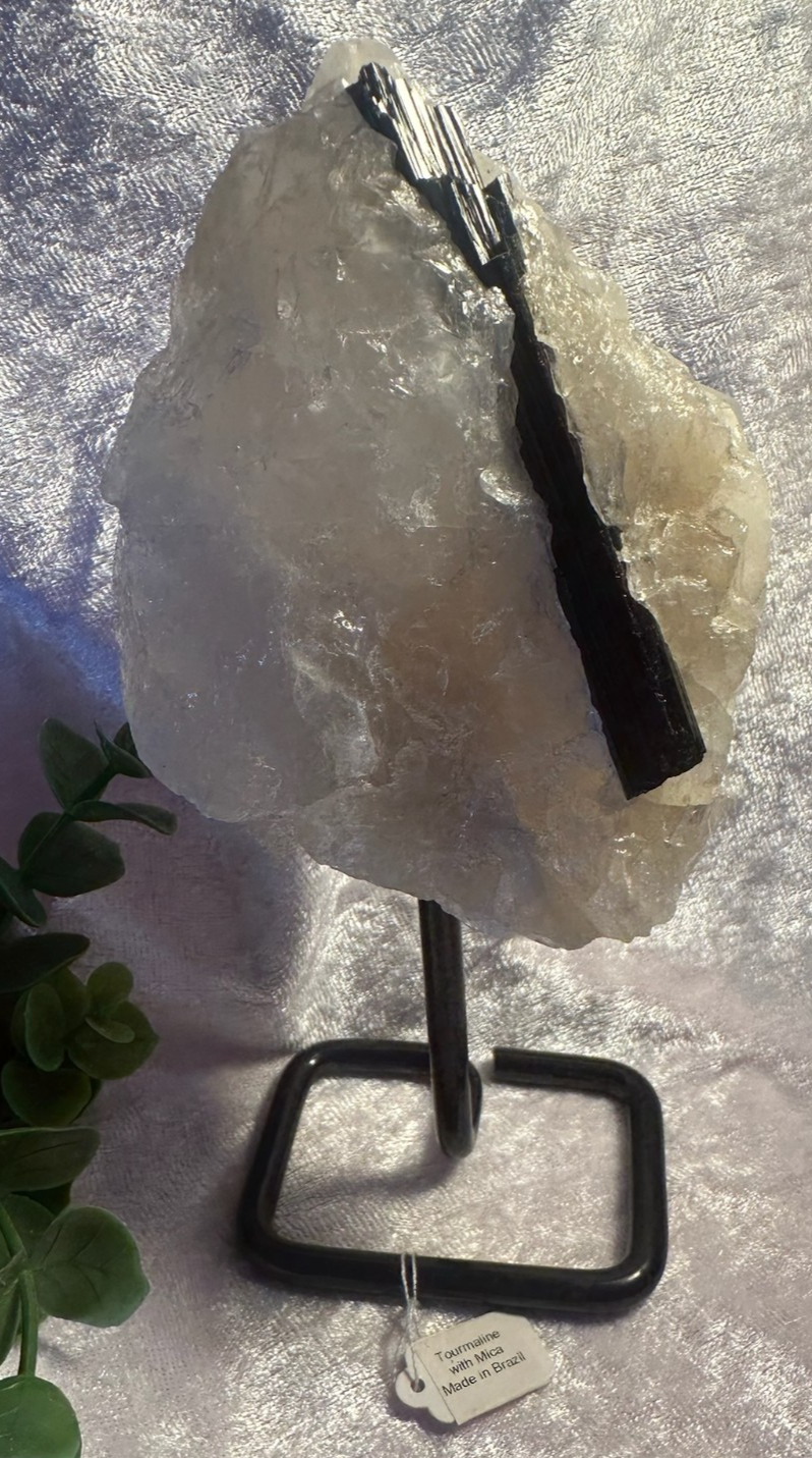 Stunning Black TOURMALINE with Quartz & Mica Matrix ~ on stand ~ From Brazil