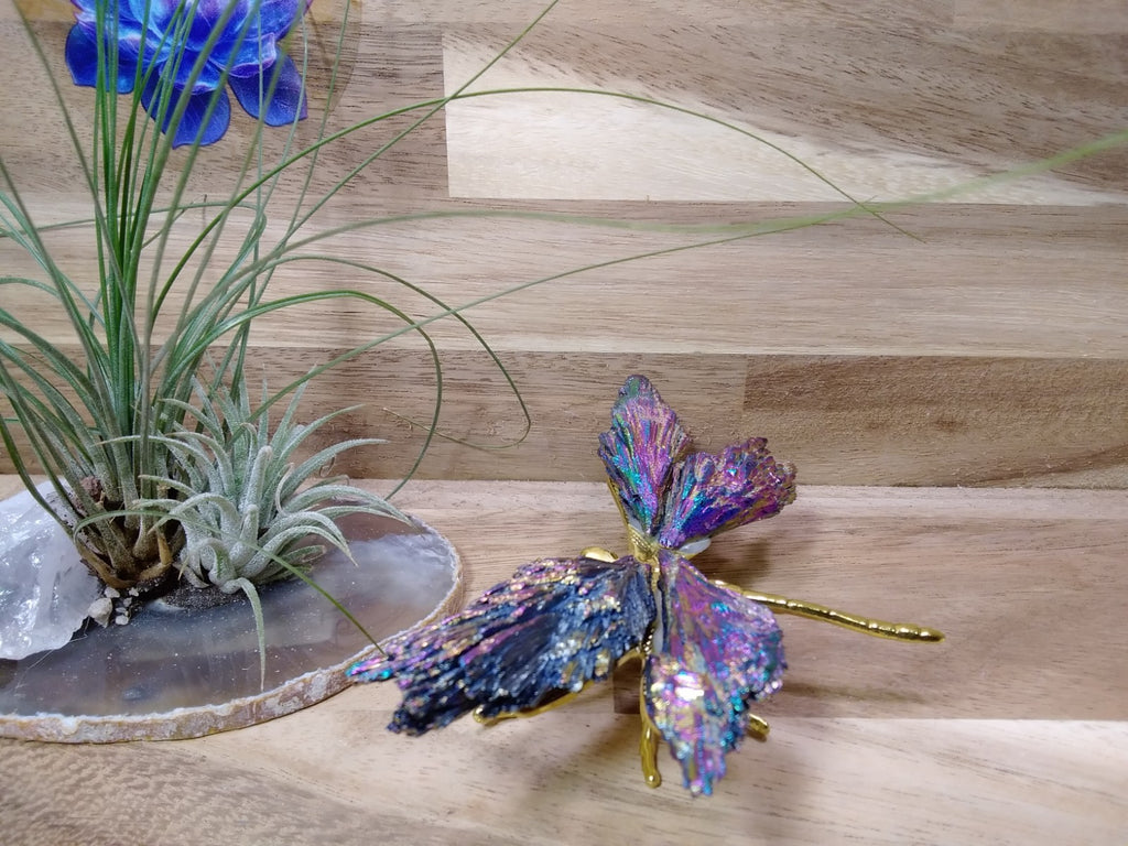 Aura Kyanite Dragonfly Healing Crystal Carving Rainbow Tourmaline Ornament