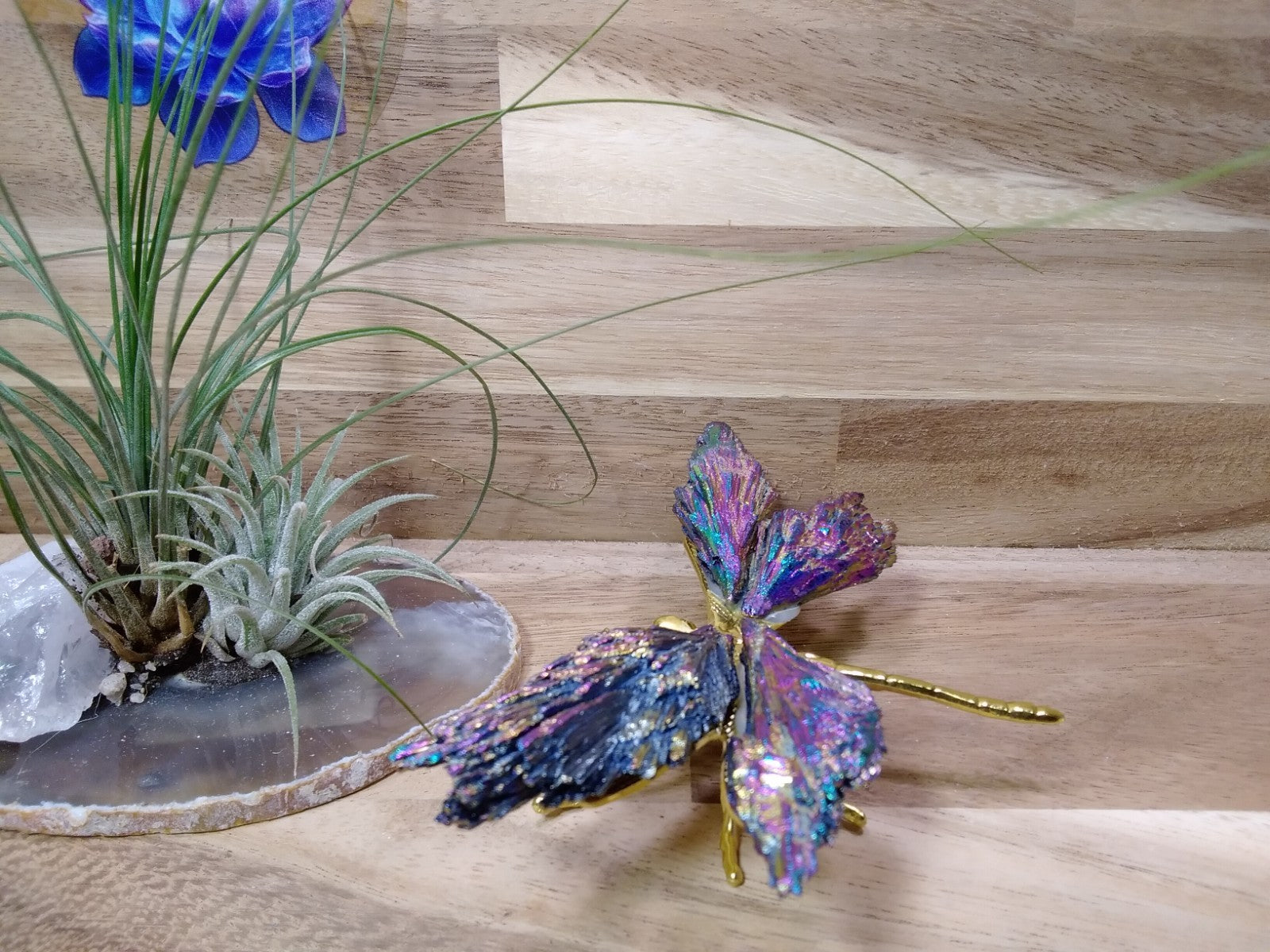 Aura Kyanite Dragonfly Healing Crystal Carving Rainbow Tourmaline Ornament