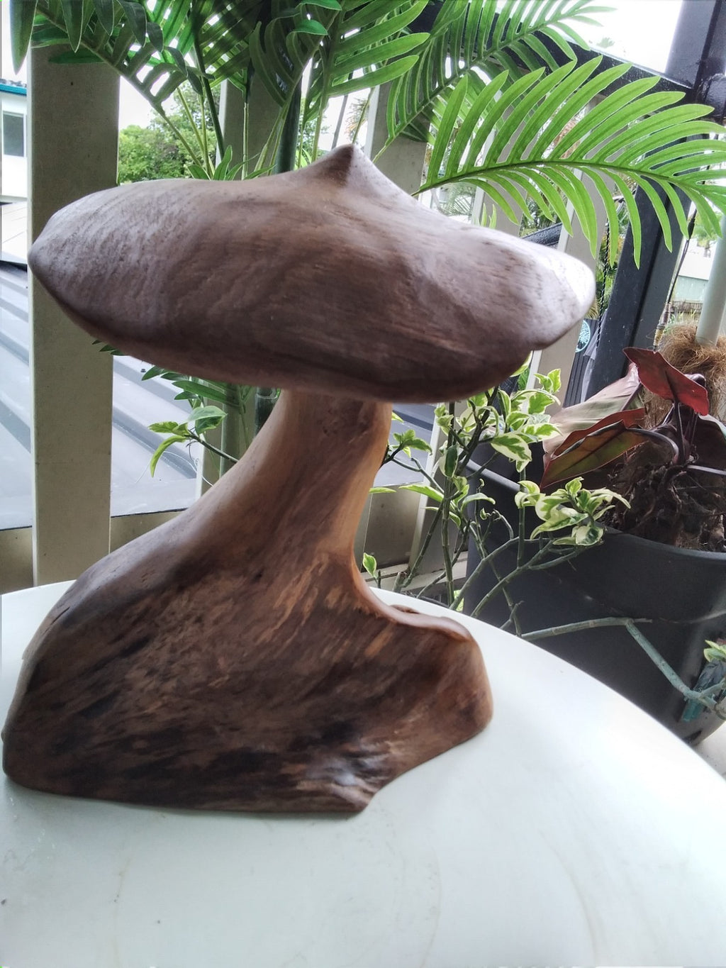 Wood Mushroom Toadstool ~ Garden Sculpture Wooden Hard Carved ~ 20 x 27cm ~ICWS1