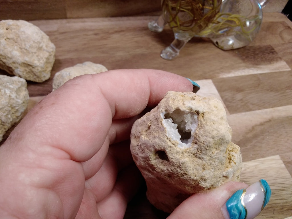 1 x Natural Quartz / Crystal Geode Nodules Break Your Own Geodes ~ Crystal Caves