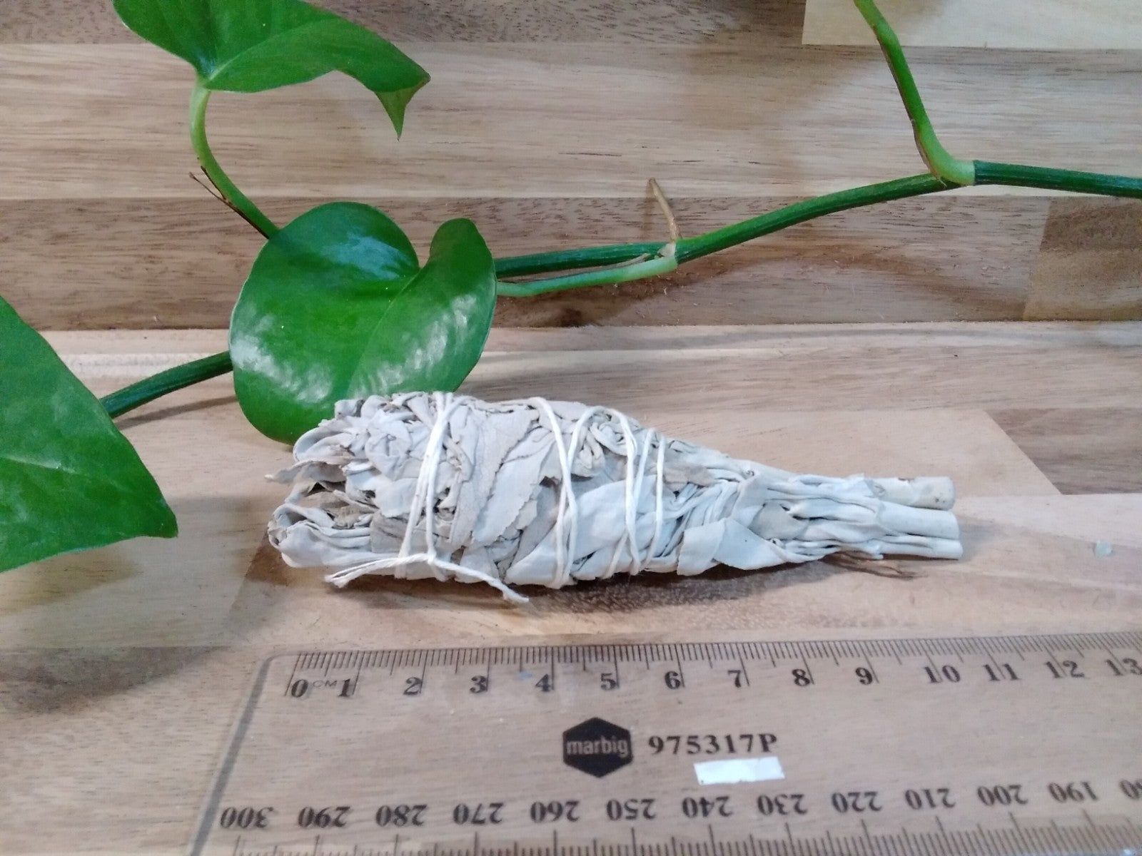 Small California White Sage Smudge Stick ~ Cleansing Bundle Cleansing • Purify