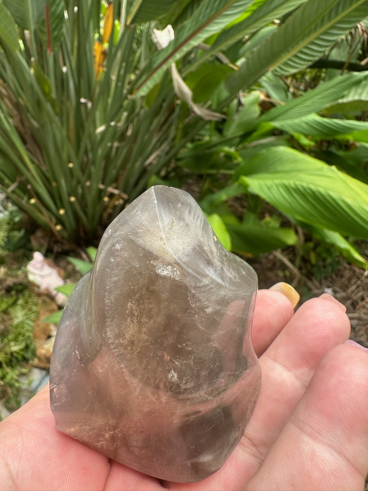 Blue Rose Quartz Flame ~ Crystal Natural Polished Healing Stone Display ~ B