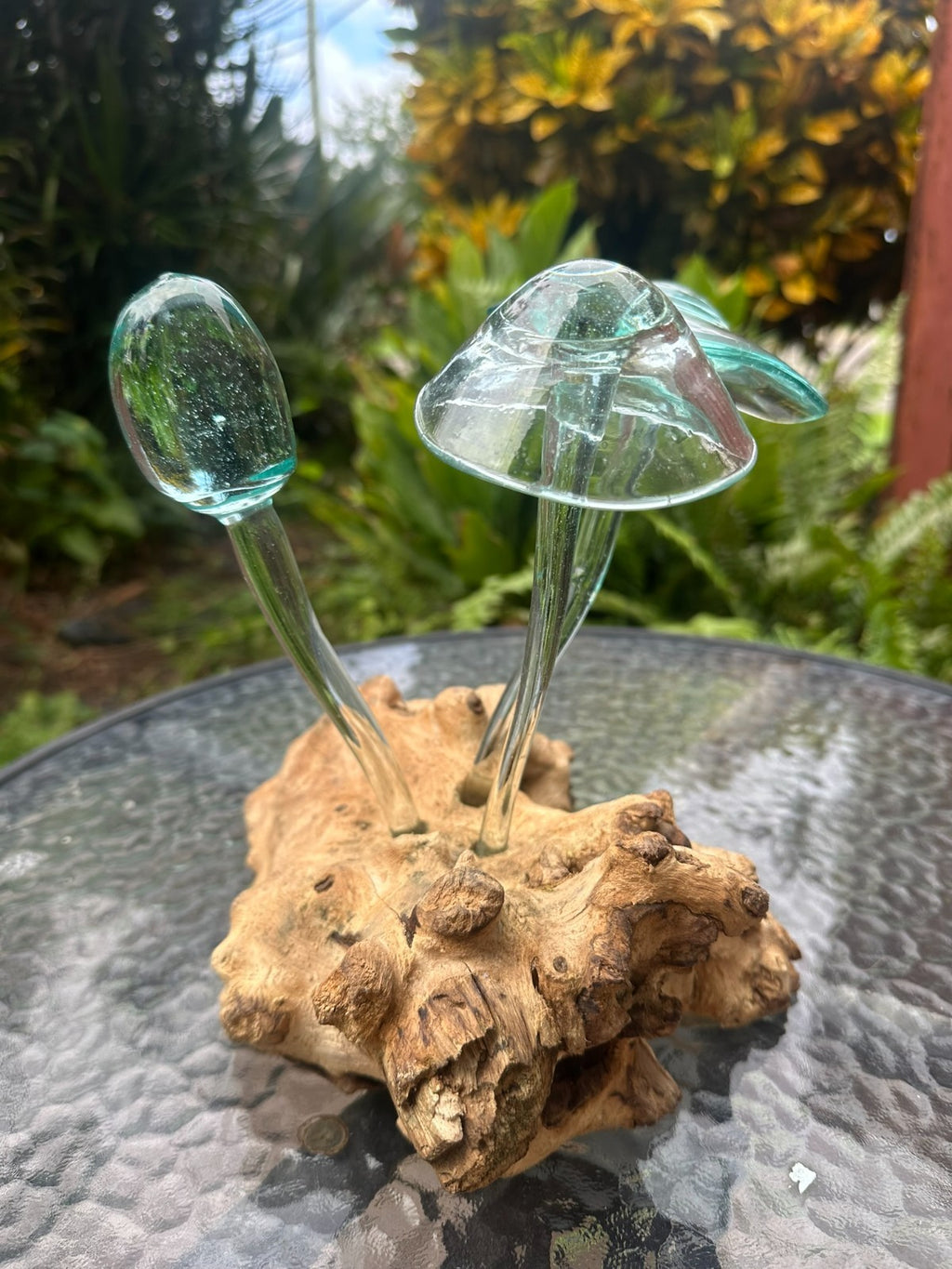 Glass Mushroom Sculpture on Natural Wood – Garden Decor / Rustic Outdoor Art