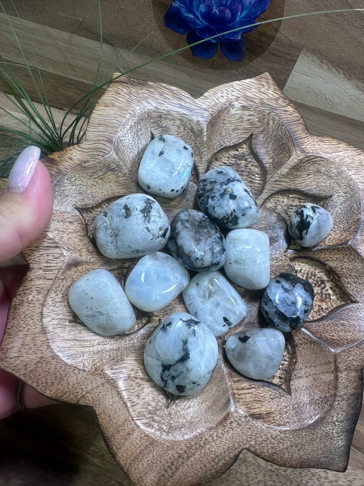 Rainbow Moon Stone Tumble~ each ~ Natural Stone Tumbled and Polished ~ Australia