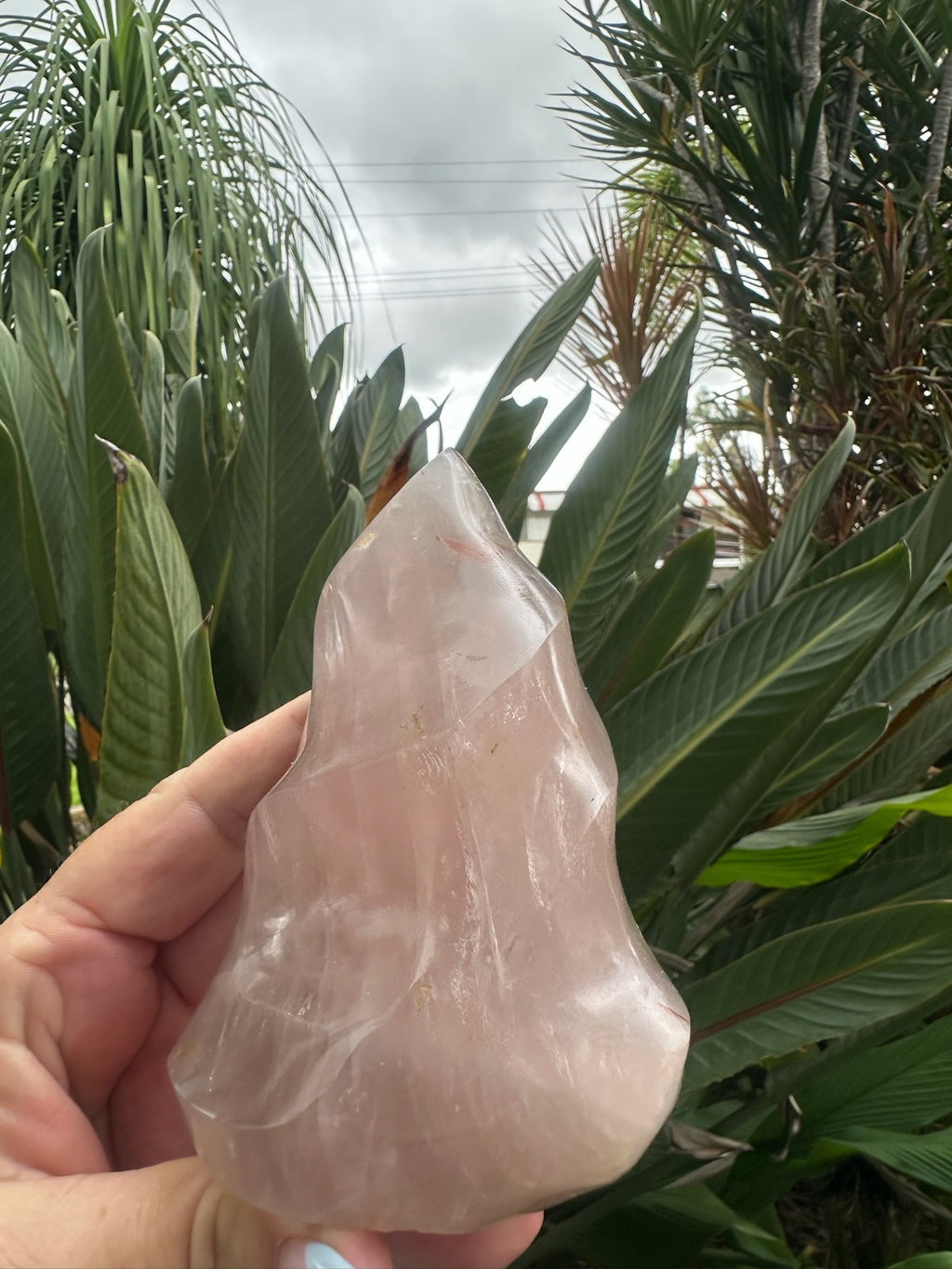 Blue Rose Quartz Flame ~ Crystal Natural Polished Healing Stone Display ~ G