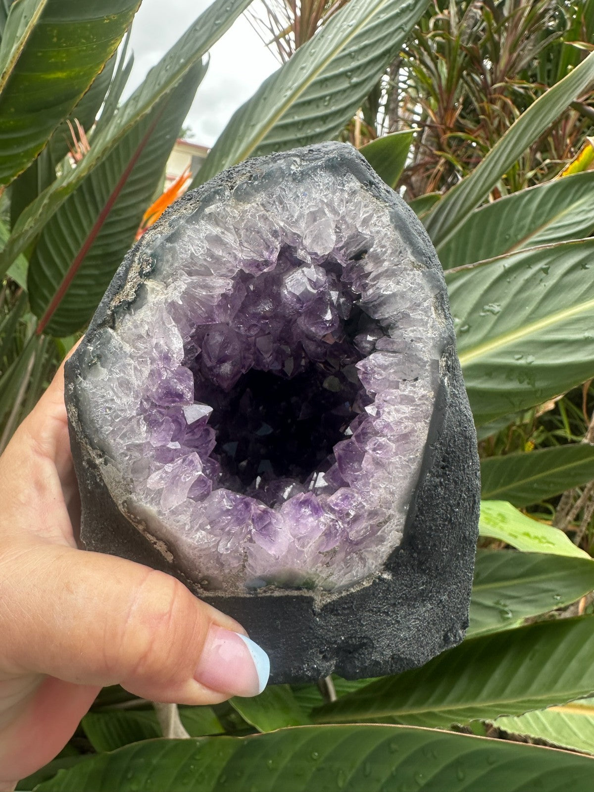 Large Amethyst Geode Crystal Cave ~ Natural Druzy Healing Stone ~ 1.9 kg