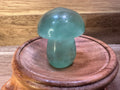 Fluorite Mushroom Carvings – Mini Crystal 25-35 gms Clarity • Focus • Protection