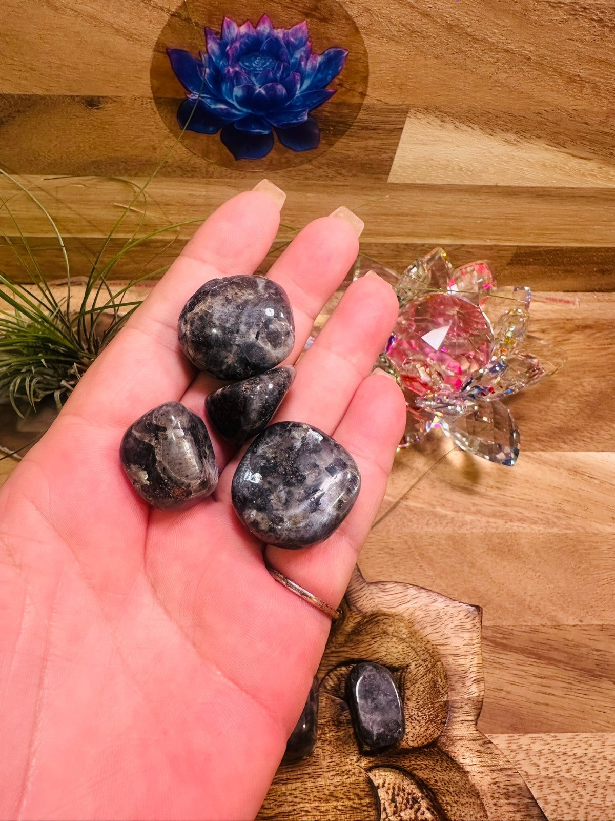 Larvikite Tumble Stone~ each ~ Natural Stone Tumbled and Polished ~ Australia