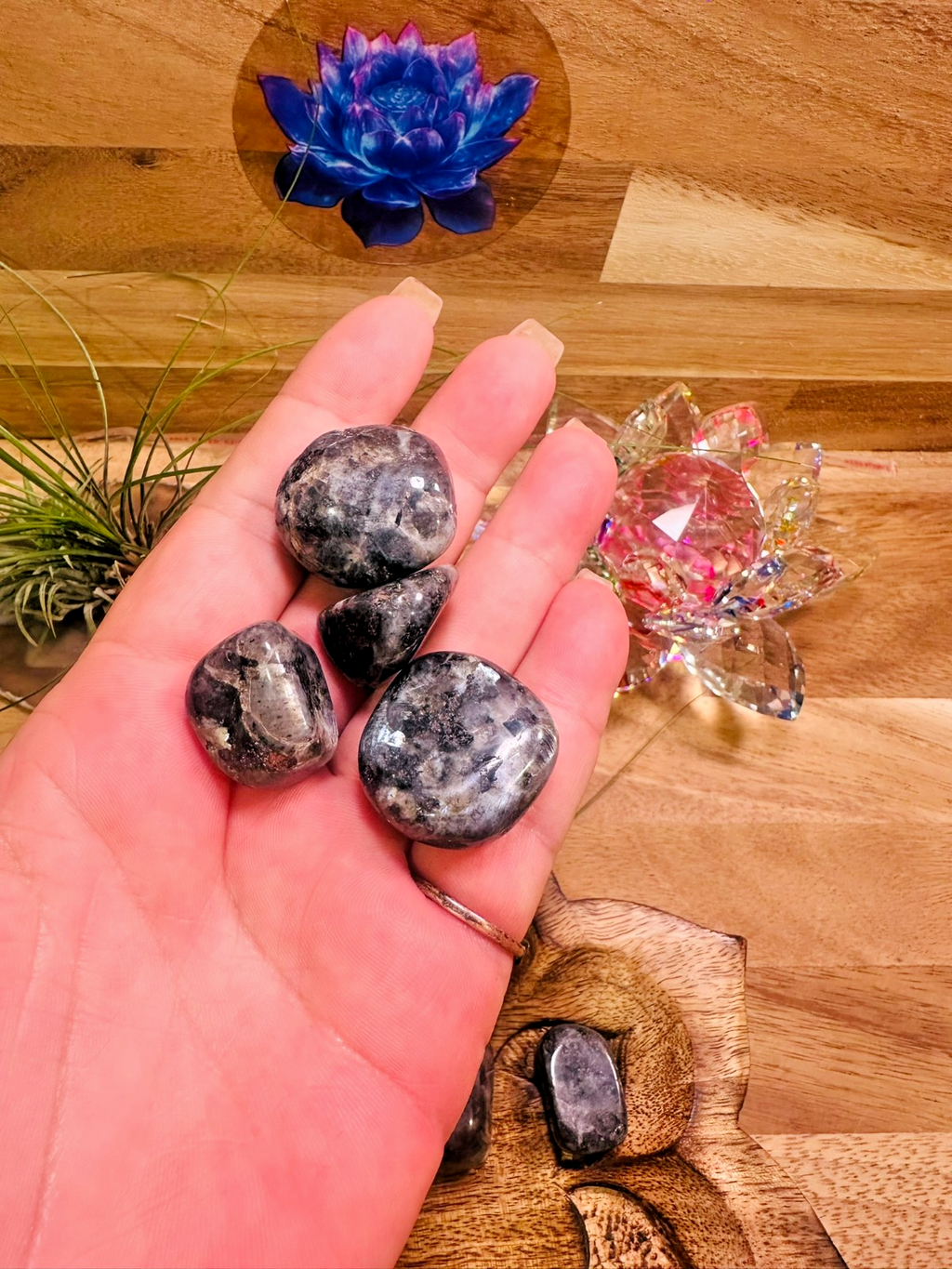 Larvikite Tumble ~ 100 gm ~ Natural Tumbled and Polished ~ Australia