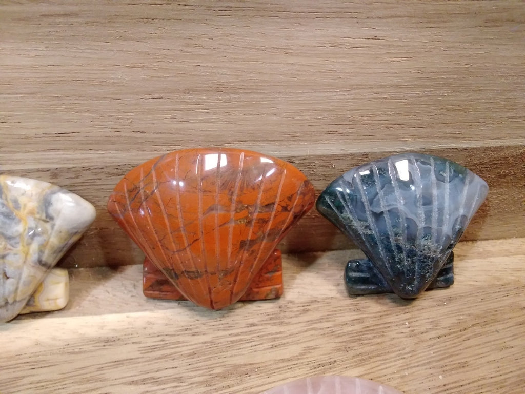 2" Natural Carved Sea Shell ~ Crystal Reiki Healing ~ 1pc ~ Intuitively Chosen