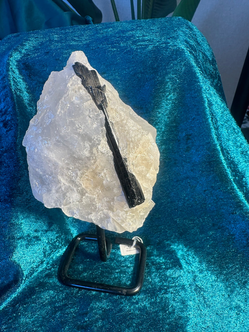 Stunning Black TOURMALINE with Quartz & Mica Matrix ~ on stand ~ From Brazil