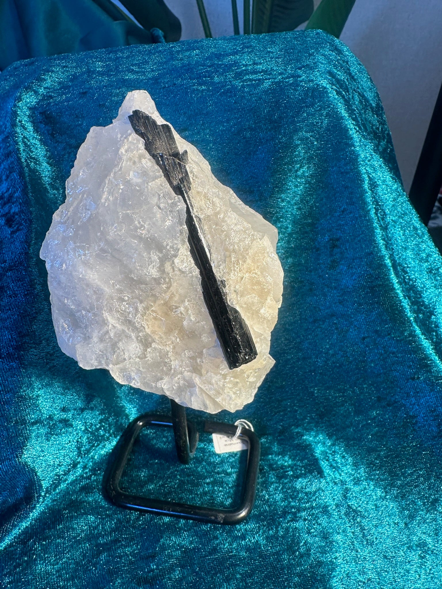 Stunning Black TOURMALINE with Quartz & Mica Matrix ~ on stand ~ From Brazil