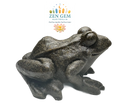 Natural Crystal Mineral Specimen Quartzite ~ Hand-carved FROG Statue